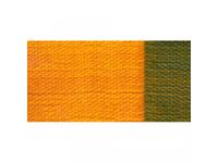 GOLDEN HEAVY BODY 237ML 1455 S4 INDIAN YELLOW HUE