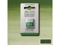 WINSOR & NEWTON AQUARELLFARBE 1/2 NÄPF 459 CHROMOXID