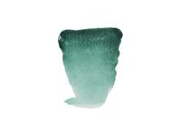 REMBRANDT AQUARELVERF 1/2NAPJE S2 616 VIRIDIAN