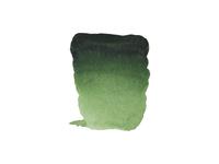 REMBRANDT AQUARELVERF 1/2NAPJE S2 644 HOOKERS GREEN LIGHT