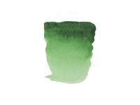 REMBRANDT AQUARELVERF 1/2NAPJE S2 662 PERMANENT GROEN