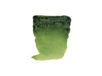 REMBRANDT AQUARELVERF 1/2NAPJE S2 623 SAPGROEN