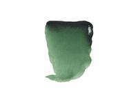REMBRANDT AQUARELVERF 1/2NAPJE S2 645 HOOKERS GREEN DARK