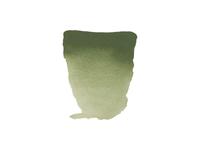 REMBRANDT AQUARELVERF 1/2NAPJE S2 668 CHROOMOXYD GROEN