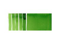 DANIEL SMITH WATERCOLOUR 5ML 042 S1 HOOKER'S GREEN