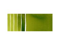 DANIEL SMITH WATERCOLOUR 5ML 102 S2 SAP GREEN