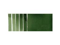 DANIEL SMITH WATERCOLOUR 5ML 175 S2 DEEP SAP GREEN