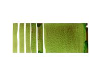 DANIEL SMITH WATERCOLOUR 5ML 197 S3 GREEN APATITE GENUINE
