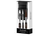 ESCODA AQUARELL REISEPINSEL BLACK SET 1272 3 STÜCK