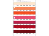 PANTONE PMS SOLID CHIPS ERSATZSEITE 45C
