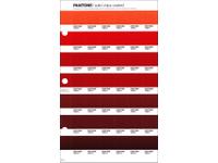 PANTONE PMS SOLID CHIPS ERSATZSEITE 44C