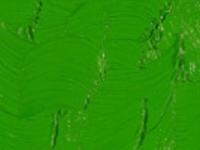GAMBLIN CONSERVATION COLORS 15ML PERMANENTGRÜN HELL