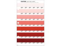 PANTONE PMS SOLID CHIPS ERSATZSEITE 33C