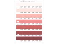 PANTONE PMS SOLID CHIPS ERSATZSEITE 33U
