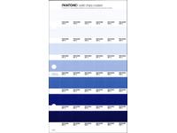 PANTONE PMS SOLID CHIPS ERSATZSEITE 119C