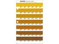 PANTONE PMS SOLID CHIPS ERSATZSEITE 11C
