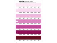PANTONE PMS SOLID CHIPS ERSATZSEITE 65C
