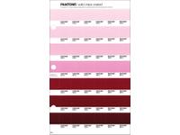 PANTONE PMS SOLID CHIPS VERVANGINGSPAGINA 66C