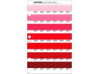 PANTONE PMS SOLID CHIPS ERSATZSEITE 40C