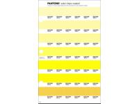 PANTONE PMS SOLID CHIPS ERSATZSEITE 3C