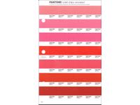 PANTONE PMS SOLID CHIPS ERSATZSEITE 39U