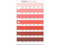 PANTONE PMS SOLID CHIPS ERSATZSEITE 29U