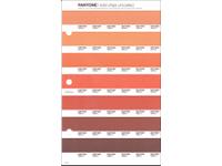 PANTONE PMS SOLID CHIPS ERSATZSEITE 27U