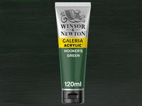 GALERIA 120ML 311  HOOKERS GRÜN