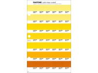 PANTONE PMS SOLID CHIPS ERSATZSEITE 13C