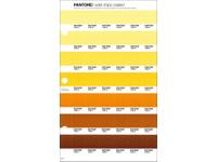 PANTONE PMS SOLID CHIPS ERSATZSEITE 14C
