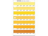 PANTONE PMS SOLID CHIPS ERSATZSEITE 13U