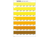 PANTONE PMS SOLID CHIPS ERSATZSEITE 15C