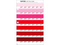 PANTONE PMS SOLID CHIPS ERSATZSEITE 46C