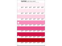 PANTONE PMS SOLID CHIPS ERSATZSEITE 51C