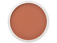 PANPASTEL 9ML BURNT SIENNA 740.5