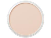 PANPASTEL 9ML BURNT SIENNA TINT 740.8