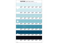 PANTONE PMS SOLID CHIPS ERSATZSEITE 161C