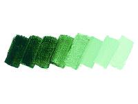 SCHMINCKE MUSSINI ÖLFARBE 640 35ML VERONESER GRÜNE ERDE