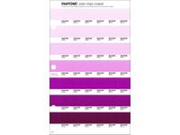 PANTONE PMS SOLID CHIPS ERSATZSEITE 79C