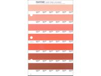 PANTONE PMS SOLID CHIPS ERSATZSEITE 28U