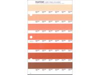 PANTONE PMS SOLID CHIPS ERSATZSEITE 26U