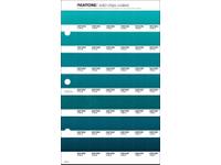PANTONE PMS SOLID CHIPS ERSATZSEITE 163C