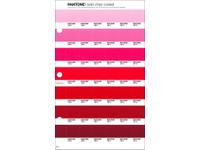 PANTONE PMS SOLID CHIPS ERSATZSEITE 48C