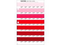 PANTONE PMS SOLID CHIPS ERSATZSEITE 47C