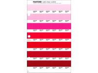 PANTONE PMS SOLID CHIPS ERSATZSEITE 49C