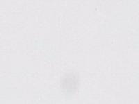 ARA ACRYLFARBE 500ML 001 TITANWEISS