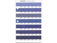 PANTONE PMS SOLID CHIPS ERSATZSEITE 113U