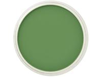 PANPASTEL 9ML CHROMIUM OXIDE GREEN 660.5
