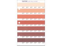 PANTONE PMS SOLID CHIPS ERSATZSEITE 31U