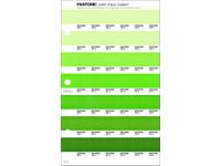 PANTONE PMS SOLID CHIPS ERSATZSEITE 191C